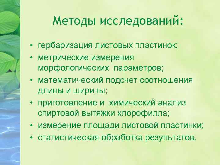 Методы исследований: • гербаризация листовых пластинок; • метрические измерения морфологических параметров; • математический подсчет