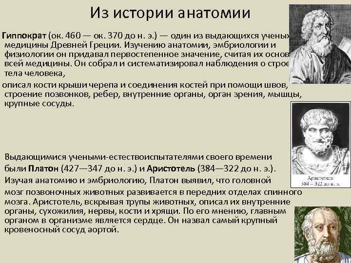 Из истории анатомии Гиппократ (ок. 460 — ок. 370 до н. э. ) —