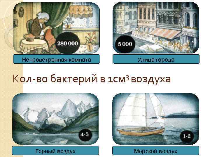 Непроветренная комната Улица города Кол-во бактерий в 1 см 3 воздуха Горный воздух Морской