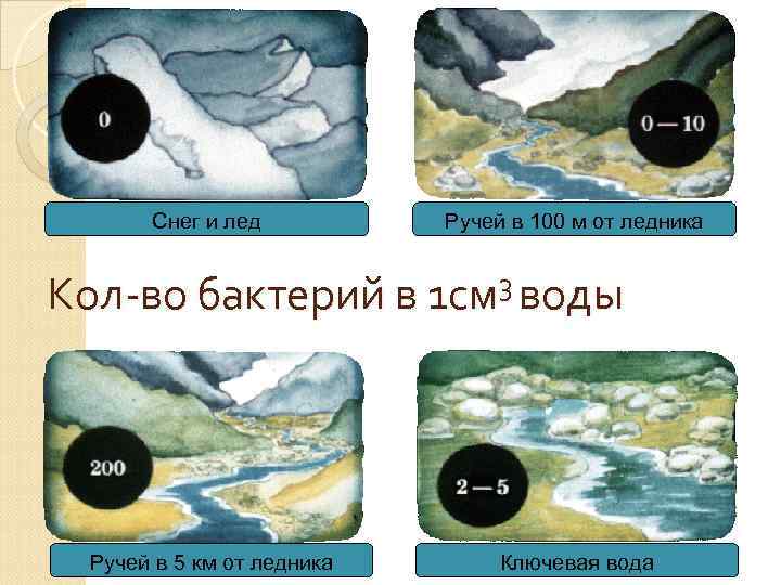 Снег и лед Ручей в 100 м от ледника 3 воды Кол-во бактерий в