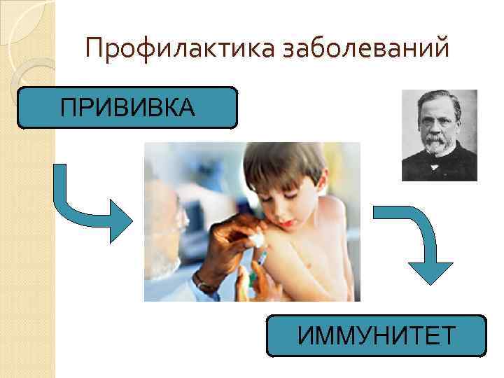 Профилактика заболеваний ПРИВИВКА ИММУНИТЕТ 