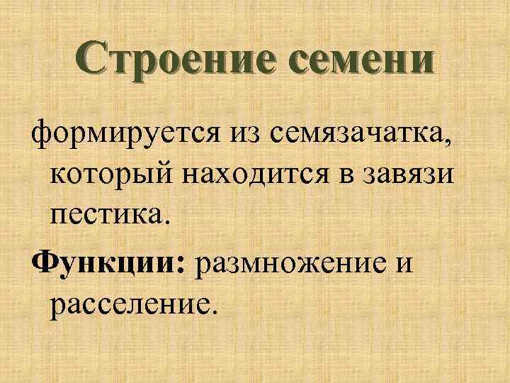 Строение семени формируется из семязачатка, который находится в завязи пестика. Функции: размножение и расселение.