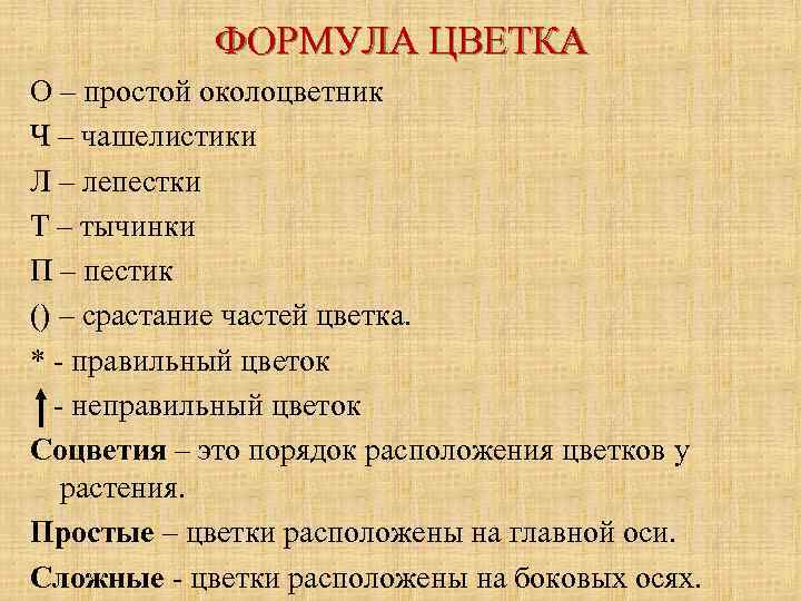 ФОРМУЛА ЦВЕТКА О – простой околоцветник Ч – чашелистики Л – лепестки Т –