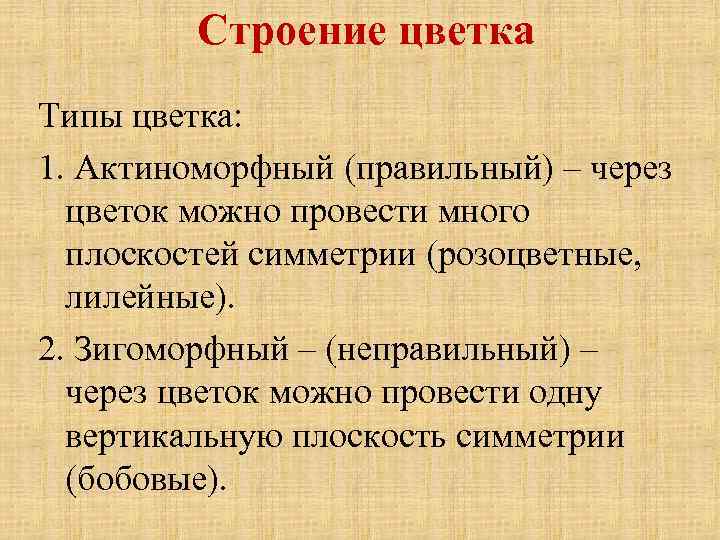 Строение цветка Типы цветка: 1. Актиноморфный (правильный) – через цветок можно провести много плоскостей