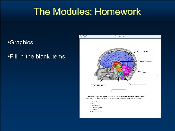 The Modules: Homework • Graphics • Fill-in-the-blank items 