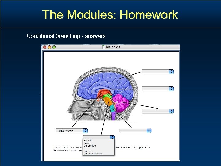 The Modules: Homework Conditional branching - answers 