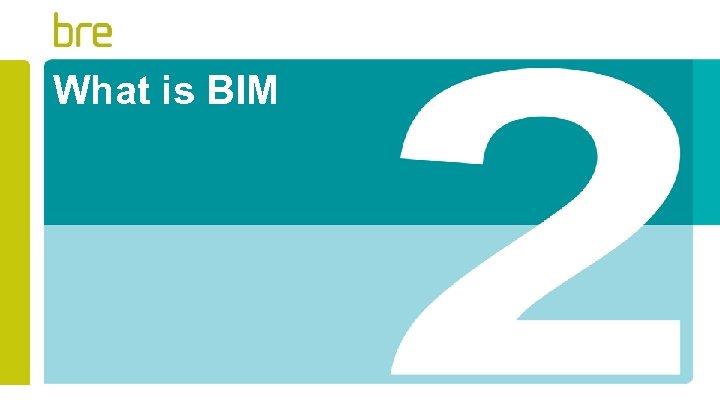 What is BIM 