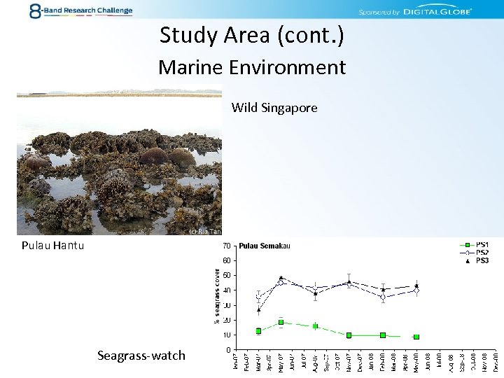 Study Area (cont. ) Marine Environment Wild Singapore Pulau Hantu Seagrass-watch 