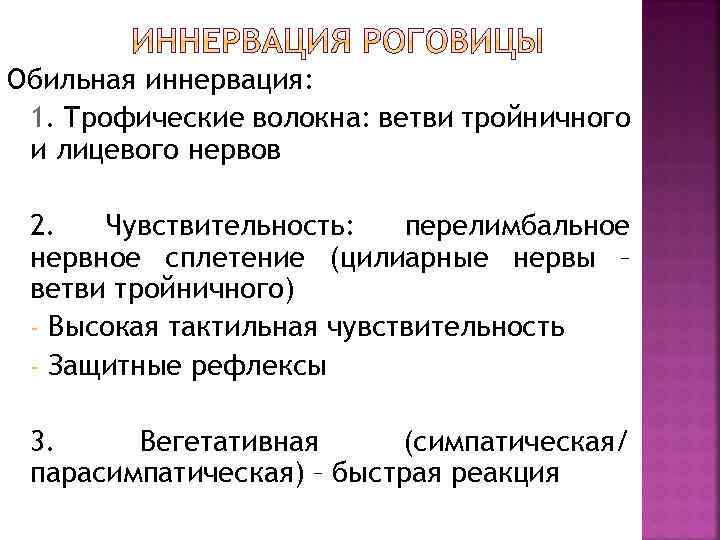 Обильная иннервация: 1. Трофические волокна: ветви тройничного и лицевого нервов 2. Чувствительность: перелимбальное нервное
