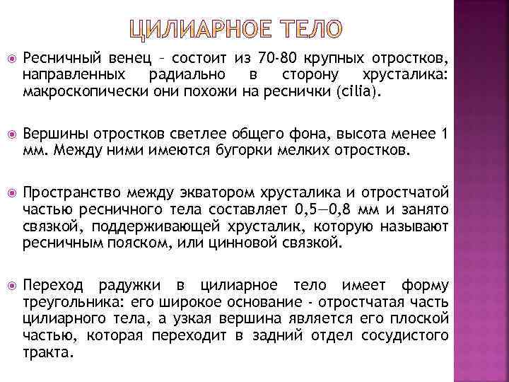  Ресничный венец – состоит из 70 -80 крупных отростков, направленных радиально в сторону