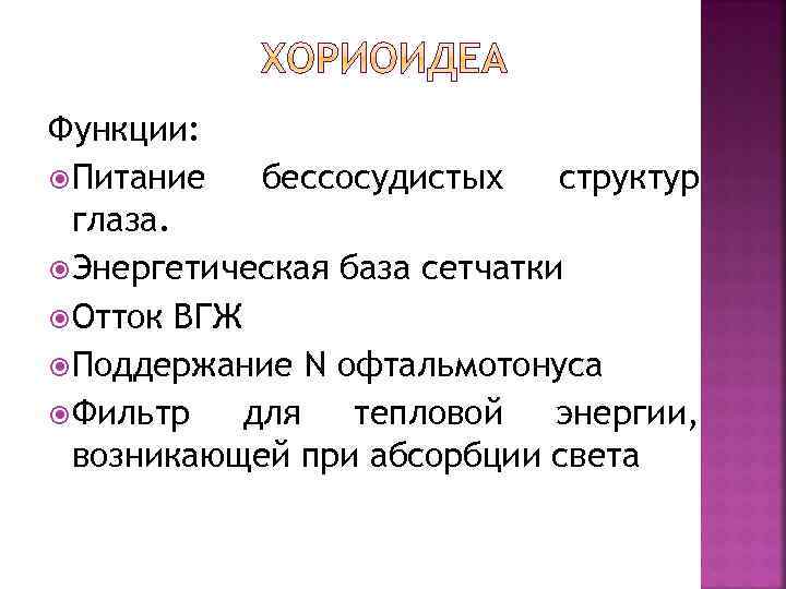 Функции: Питание бессосудистых структур глаза. Энергетическая база сетчатки Отток ВГЖ Поддержание N офтальмотонуса Фильтр