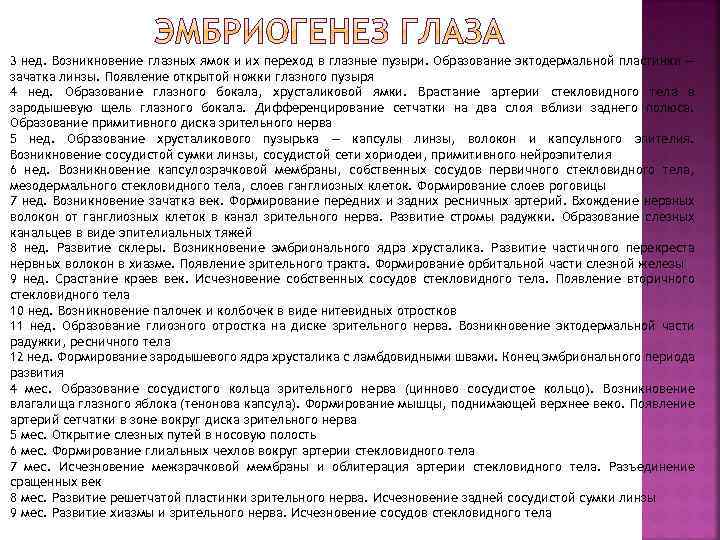 3 нед. Возникновение глазных ямок и их переход в глазные пузыри. Образование эктодермальной пластинки