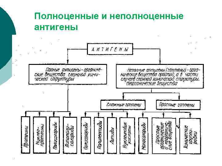 План ликвидации инфекционного ринотрахеита