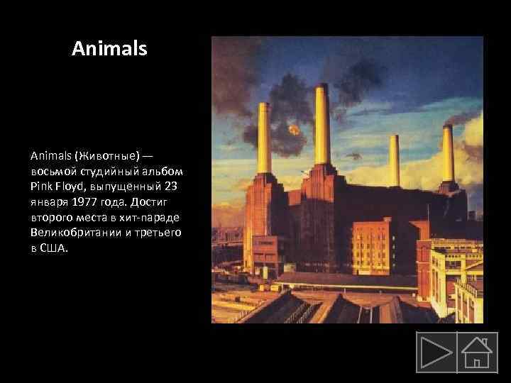 Animals (Животные) — восьмой студийный альбом Pink Floyd, выпущенный 23 января 1977 года. Достиг