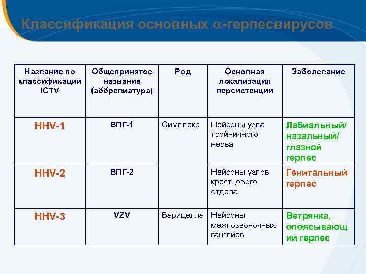 Классификация основных -герпесвирусов Название по классификации ICTV Общепринятое название (аббревиатура) Род HHV-1 ВПГ-1 Симплекс