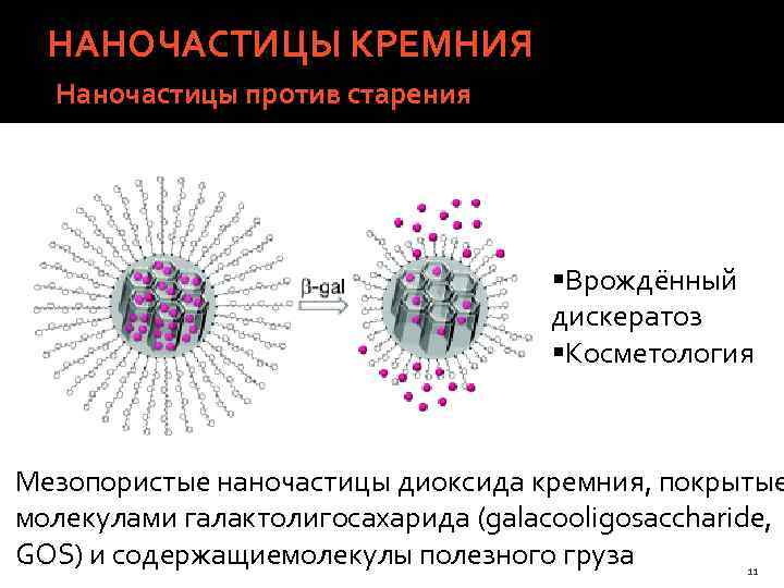 НАНОЧАСТИЦЫ КРЕМНИЯ Наночастицы против старения §Врождённый дискератоз §Косметология Мезопористые наночастицы диоксида кремния, покрытые молекулами