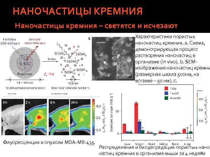 НАНОЧАСТИЦЫ КРЕМНИЯ Наночастицы кремния – светятся и исчезают Характеристики пористых наночастиц кремния. a. Схема,