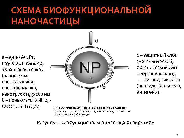 СХЕМА БИОФУНКЦИОНАЛЬНОЙ НАНОЧАСТИЦЫ а – ядро Au, Pt, Fe 3 O 4, C, Полимер,