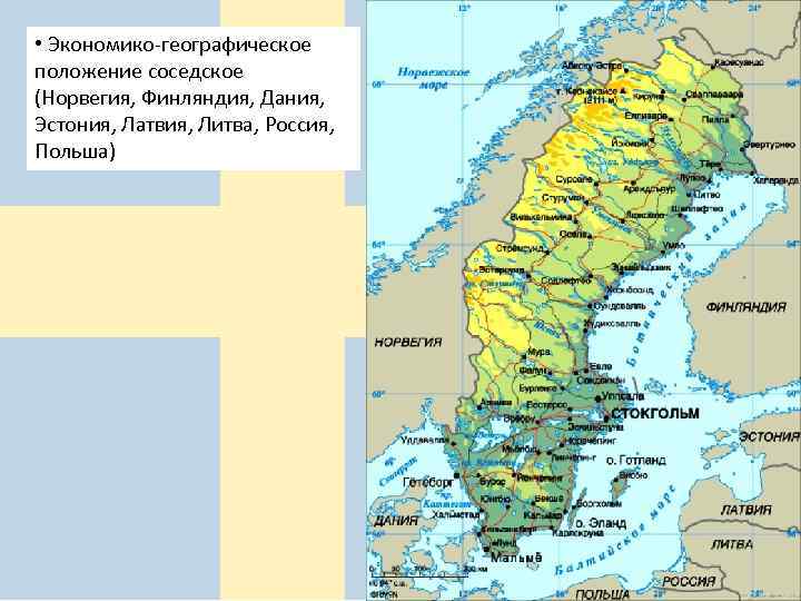  • Экономико-географическое положение соседское (Норвегия, Финляндия, Дания, Эстония, Латвия, Литва, Россия, Польша) 