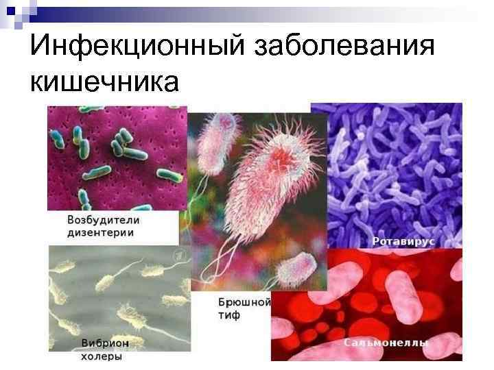Инфекционный заболевания кишечника 