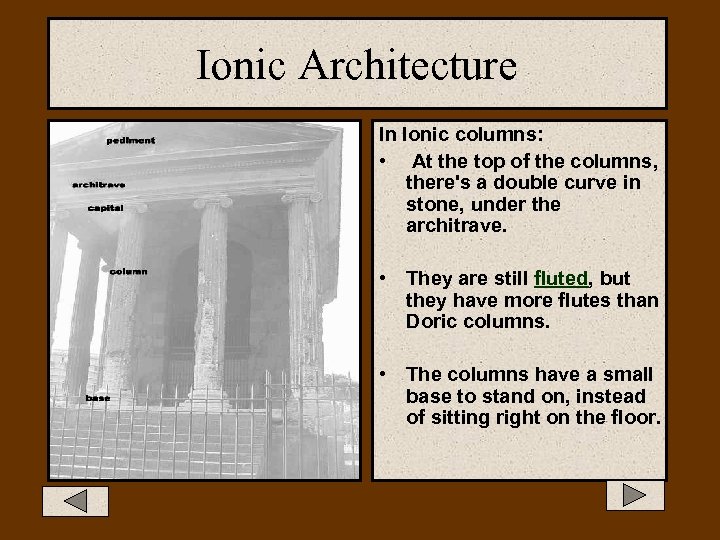Ionic Architecture In Ionic columns: • At the top of the columns, there's a