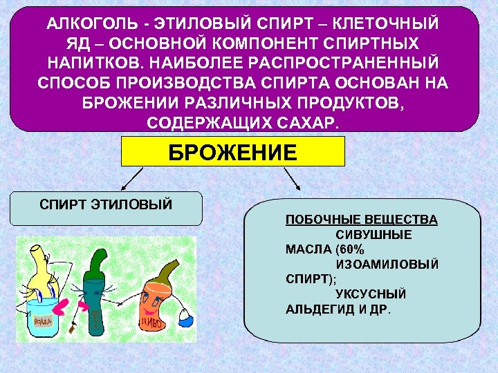 АЛКОГОЛЬ - ЭТИЛОВЫЙ СПИРТ – КЛЕТОЧНЫЙ ЯД – ОСНОВНОЙ КОМПОНЕНТ СПИРТНЫХ НАПИТКОВ. НАИБОЛЕЕ РАСПРОСТРАНЕННЫЙ