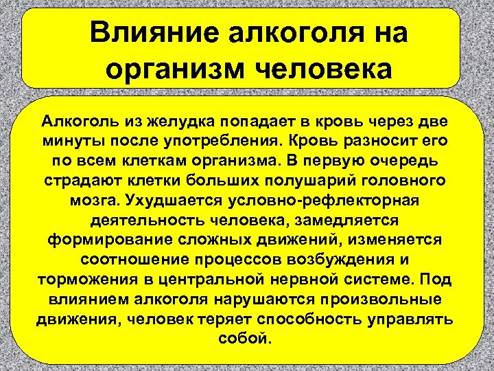Влияние алкоголя на организм человека Алкоголь из желудка попадает в кровь через две минуты