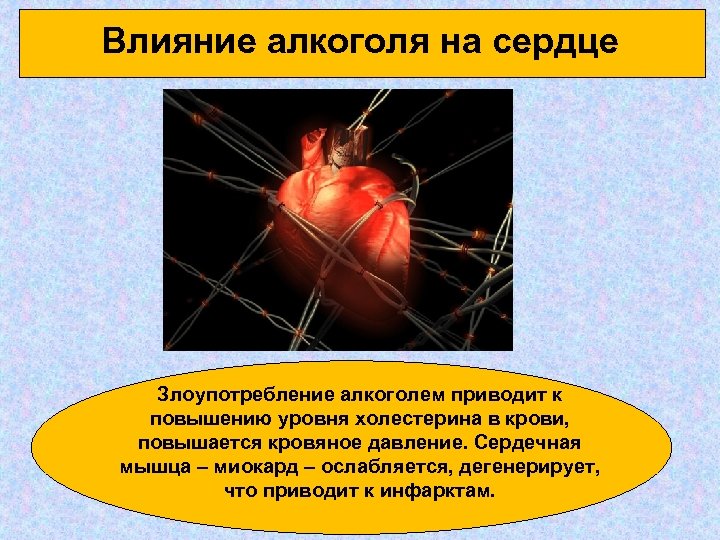 Влияние алкоголя на сердце Злоупотребление алкоголем приводит к повышению уровня холестерина в крови, повышается