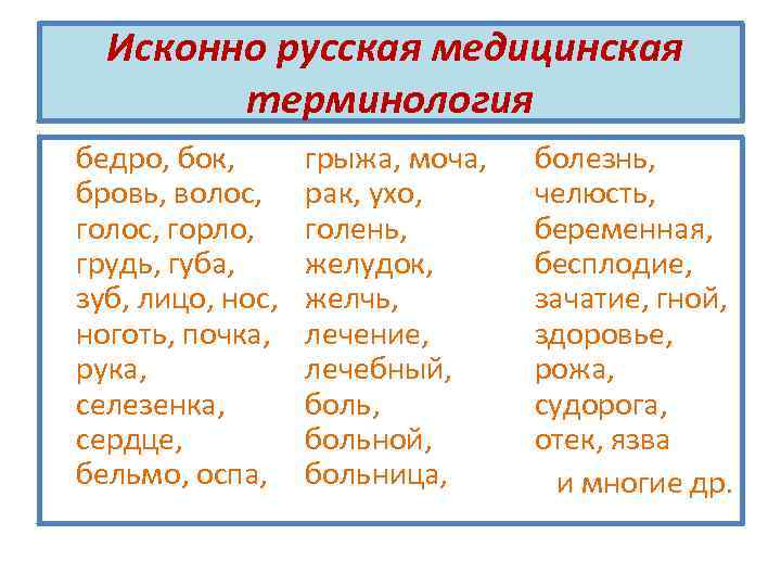 Исконно русская медицинская терминология бедро, бок, бровь, волос, горло, грудь, губа, зуб, лицо, нос,
