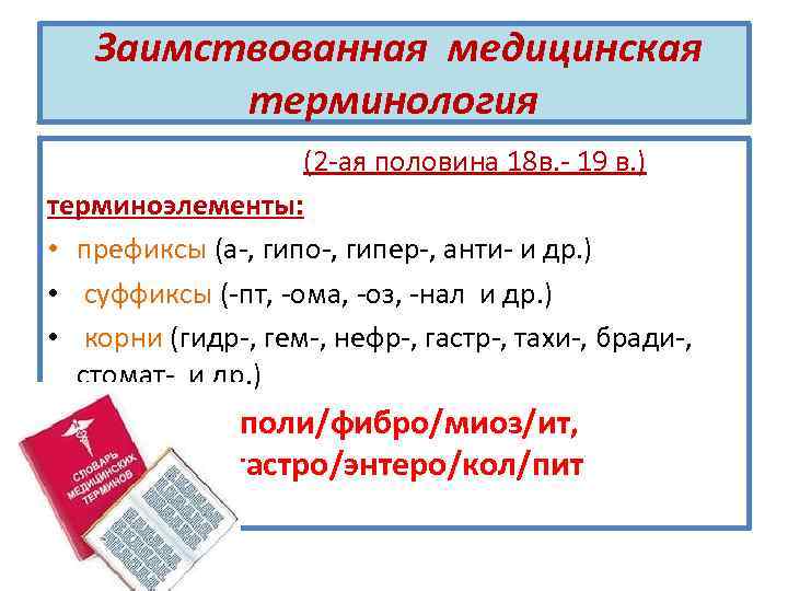 Заимствованная медицинская терминология (2 -ая половина 18 в. - 19 в. ) терминоэлементы: •
