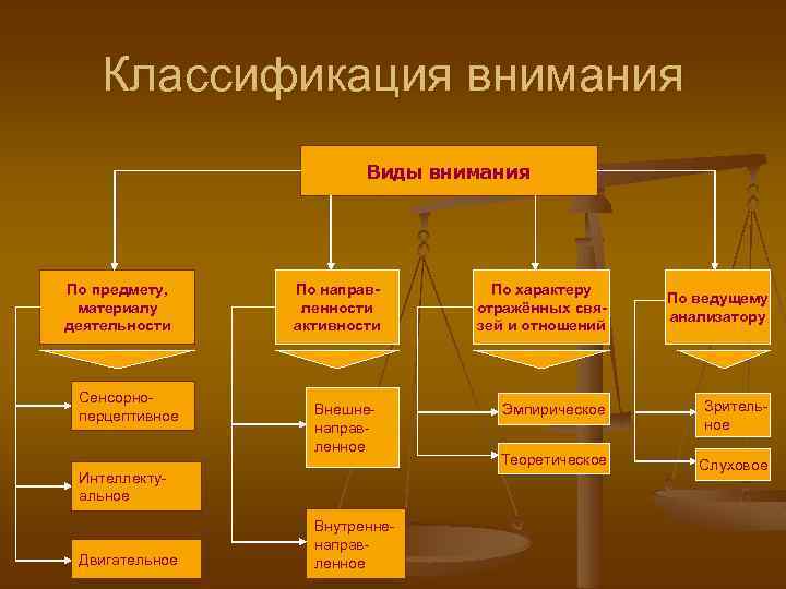 Внимание виды внимания презентация