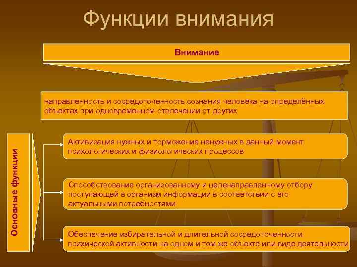 4 функции внимания. Функции внимания.