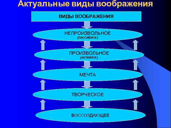 Актуальные виды воображения ВИДЫ ВООБРАЖЕНИЯ НЕПРОИЗВОЛЬНОЕ (ПАССИВНОЕ) ПРОИЗВОЛЬНОЕ (АКТИВНОЕ) МЕЧТА ТВОРЧЕСКОЕ ВОССОЗДАЮЩЕЕ 