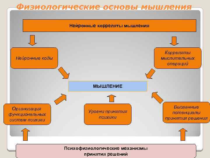 Основа мышления