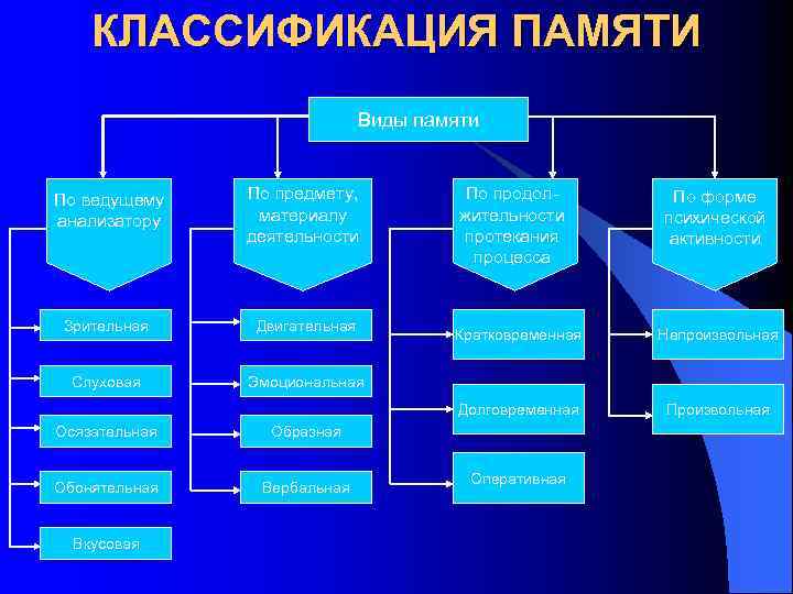 Проект виды памяти