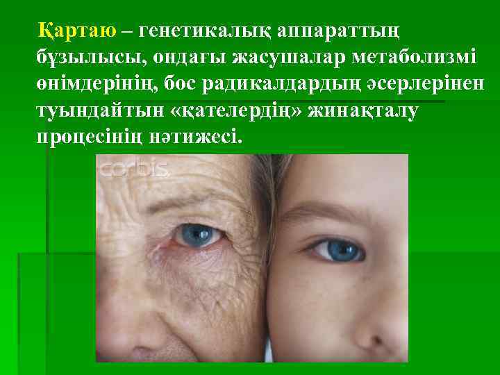 Қартаю процесі презентация