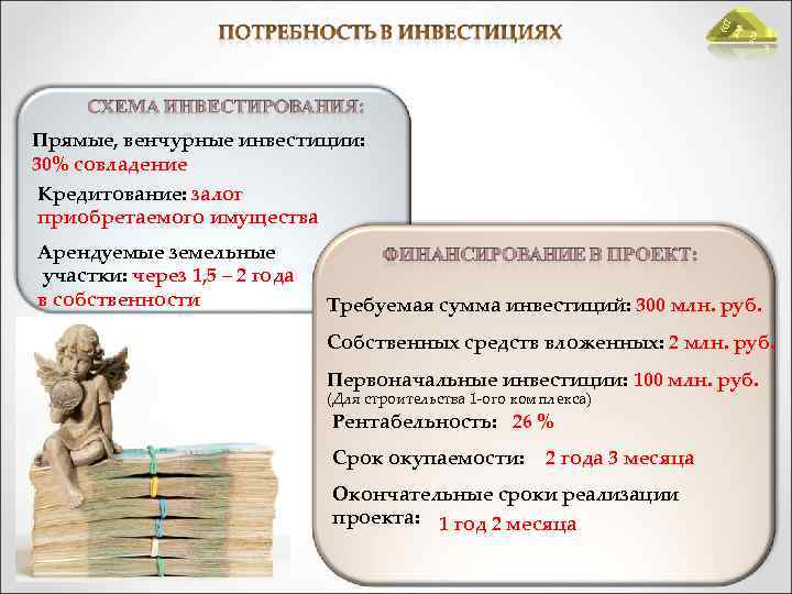 » аде « П алл Прямые, венчурные инвестиции: 30% совладение Кредитование: залог приобретаемого имущества