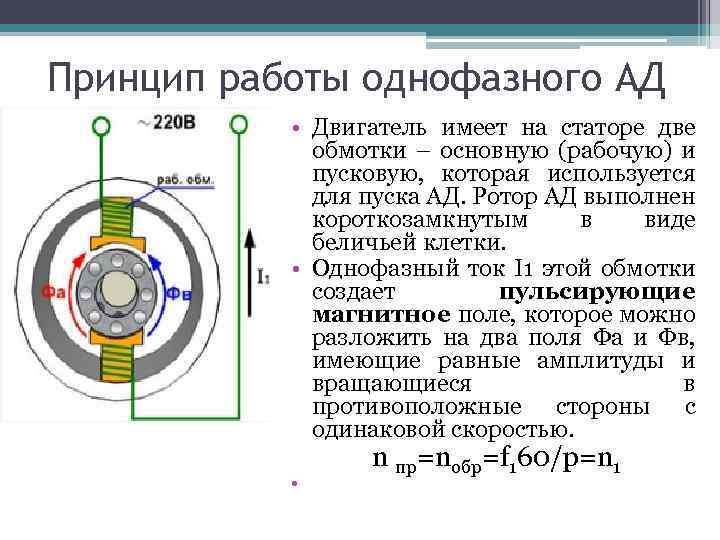 Принцип работы однофазного АД • Двигатель имеет на статоре две обмотки – основную (рабочую)