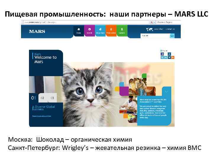 Пищевая промышленность: наши партнеры – MARS LLC Москва: Шоколад – органическая химия Санкт-Петербург: Wrigley’s