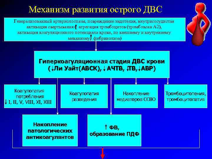 Механизм развития острого ДВС Генерализованный артериолоспазм, повреждение эндотелия, внутрисосудистая активация свертывания ( агрегация тромбоцитов