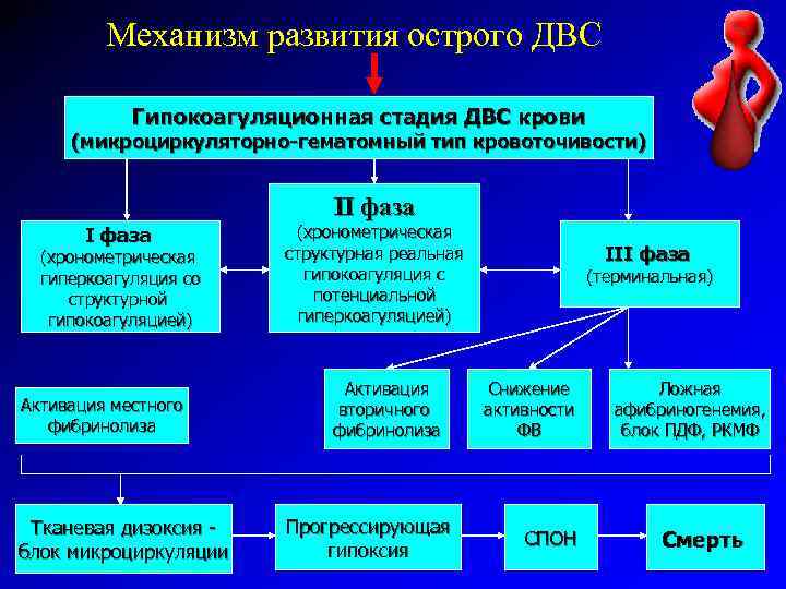 Механизм развития острого ДВС Гипокоагуляционная стадия ДВС крови (микроциркуляторно-гематомный тип кровоточивости) II фаза (хронометрическая