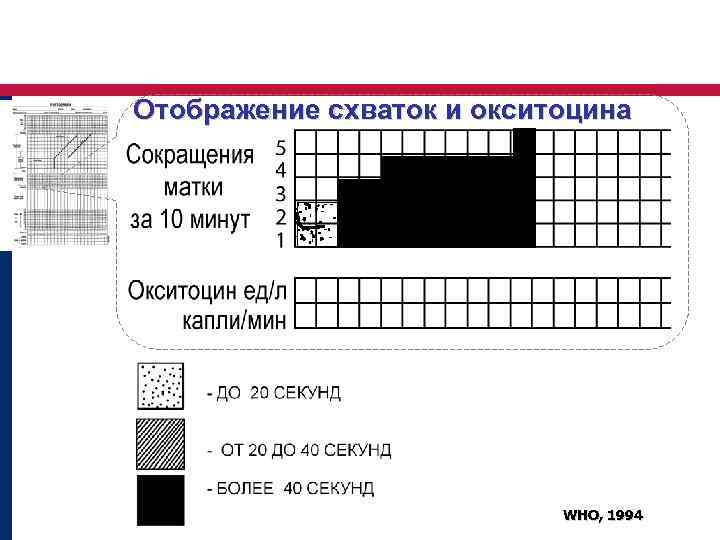 Отображение схваток и окситоцина WHO, 1994 