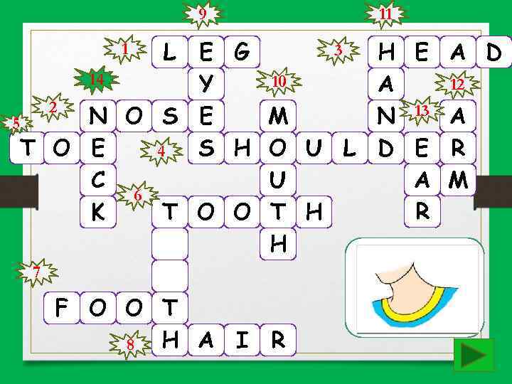 9 3 L E G 14 10 Y 2 N O S E M