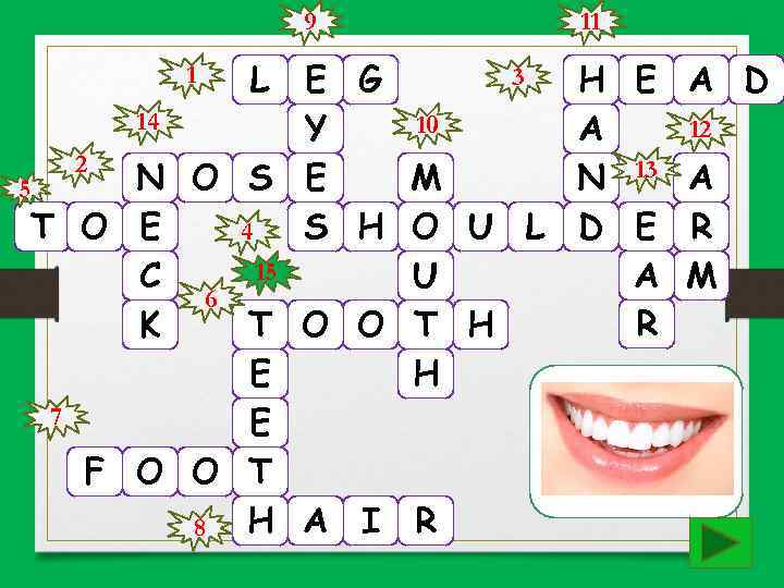 9 3 L E G 14 10 Y 2 N O S E M