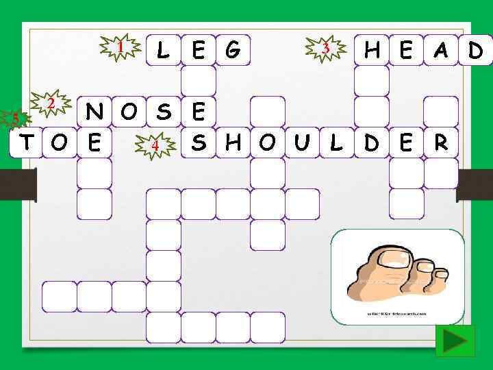 1 2 L E G 3 H E A D N O S E