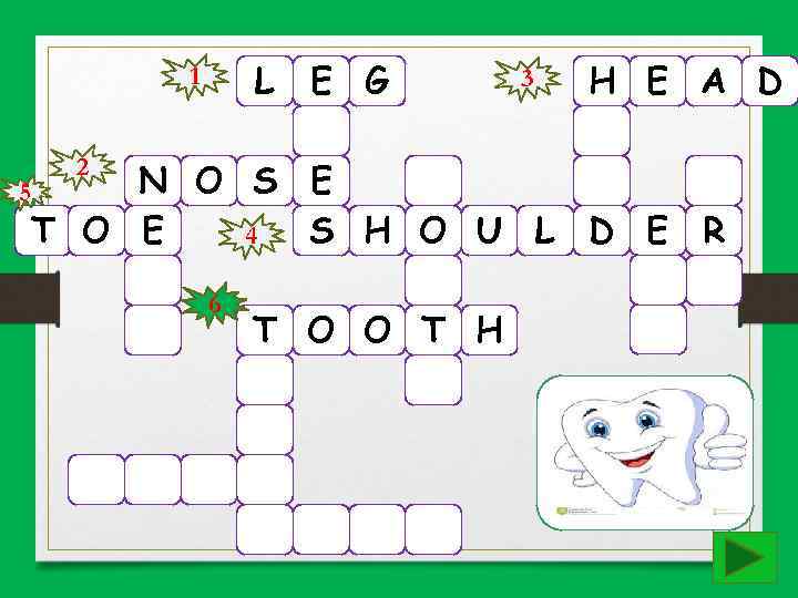 L E G 1 2 3 H E A D N O S E