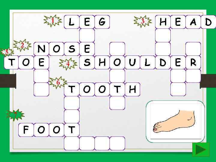 L E G 1 2 3 H E A D N O S E