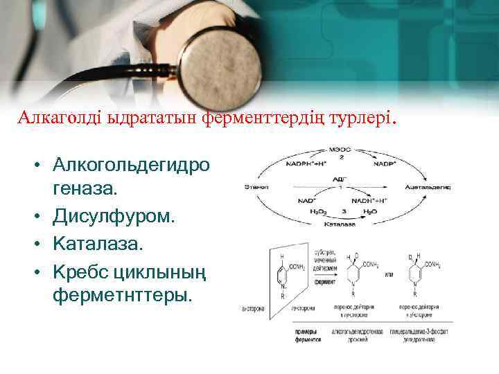 Алкаголді ыдрататын ферменттердің турлері. • Алкогольдегидро геназа. • Дисулфуром. • Каталаза. • Кребс циклының