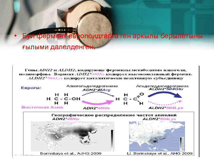  • Бул фермент европоидтарға ген аркылы берылетыны ғылыми далелденген. 