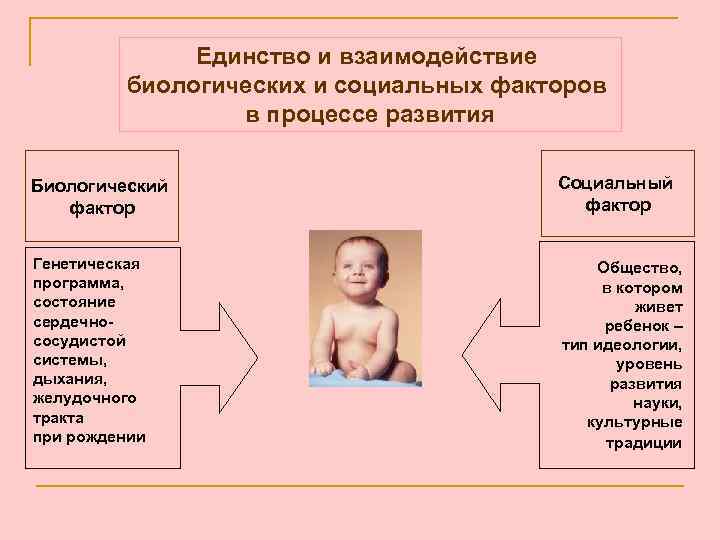 Единство и взаимодействие биологических и социальных факторов в процессе развития Биологический фактор Социальный фактор